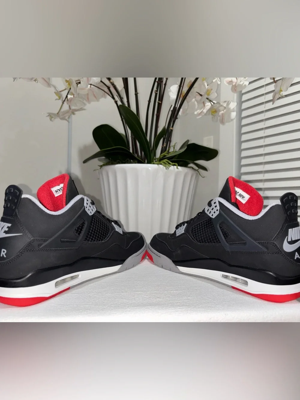 Jordan iconic design